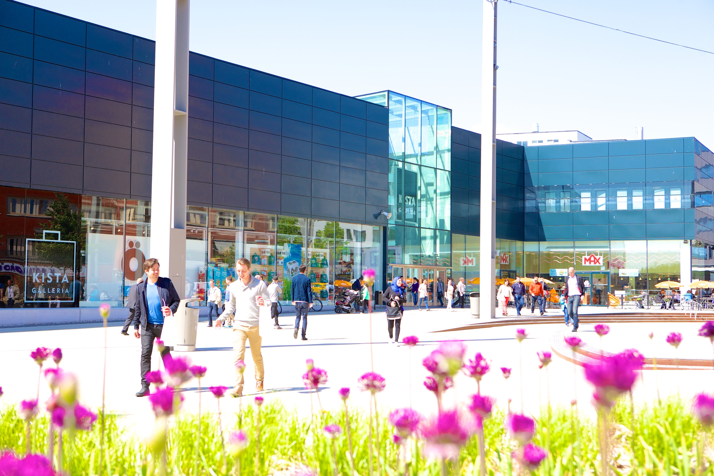 Kista 20 Cm Kista 20 Cm