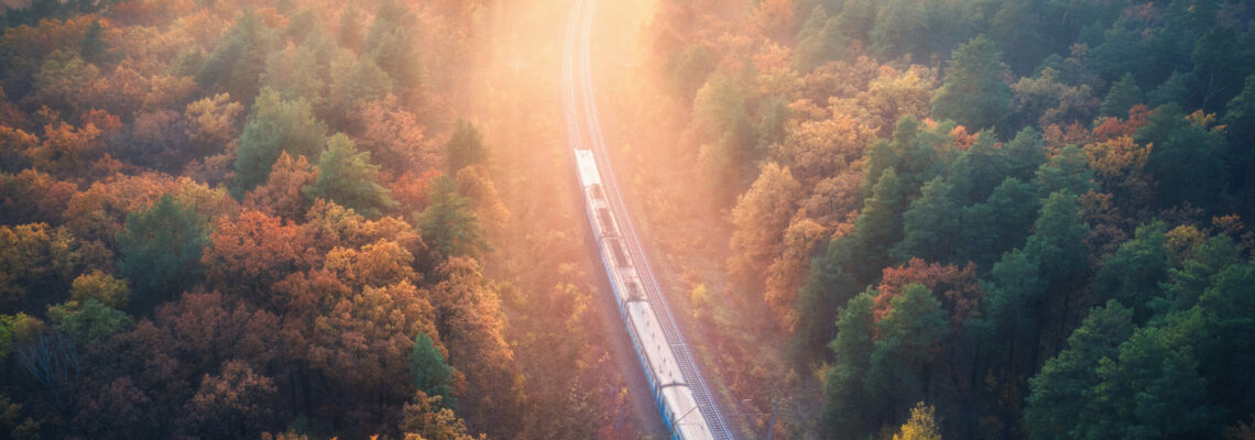 Aerial view of train in beautiful forest in fog at sunrise in autumn. Commuter train in fall. Colorful landscape with railroad, foggy trees with vibrant foliage, sunbeams. Top view. Railway station